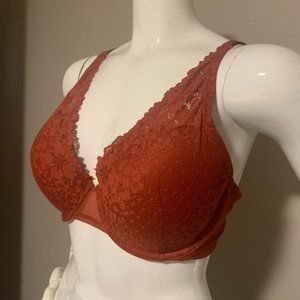 Auden Plunge Push Up - 40C